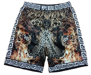 Leopard on Fire
